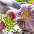 What is Garlic Good For?